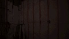 HP3